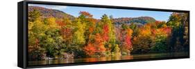 Autumn tree reflected in a pond, Sally's Pond, West Bolton, Quebec, Canada-null-Framed Stretched Canvas