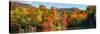 Autumn tree reflected in a pond, Sally's Pond, West Bolton, Quebec, Canada-null-Stretched Canvas