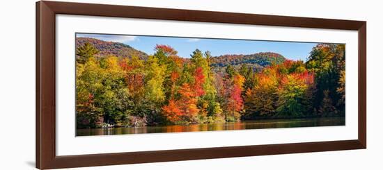 Autumn tree reflected in a pond, Sally's Pond, West Bolton, Quebec, Canada-null-Framed Photographic Print