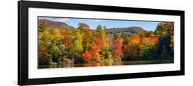 Autumn tree reflected in a pond, Sally's Pond, West Bolton, Quebec, Canada-null-Framed Photographic Print