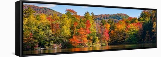 Autumn tree reflected in a pond, Sally's Pond, West Bolton, Quebec, Canada-null-Framed Stretched Canvas