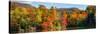 Autumn tree reflected in a pond, Sally's Pond, West Bolton, Quebec, Canada-null-Stretched Canvas