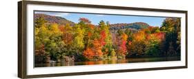 Autumn tree reflected in a pond, Sally's Pond, West Bolton, Quebec, Canada-null-Framed Premium Photographic Print