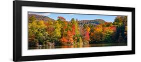Autumn tree reflected in a pond, Sally's Pond, West Bolton, Quebec, Canada-null-Framed Premium Photographic Print