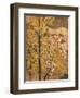 Autumn Tree-Japanese School-Framed Giclee Print