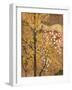 Autumn Tree-Japanese School-Framed Giclee Print