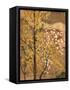 Autumn Tree-Japanese School-Framed Stretched Canvas