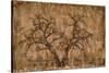 Autumn Tree-LightBoxJournal-Stretched Canvas