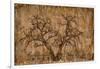 Autumn Tree-LightBoxJournal-Framed Giclee Print