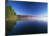 Autumn Trees, Adams Reservoir, Woodford State Park, Vermont, USA-Adam Jones-Stretched Canvas