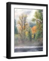 Autumn trees along Mackenzie River, Willamette National Forest, Linn County, Oregon, USA-null-Framed Photographic Print