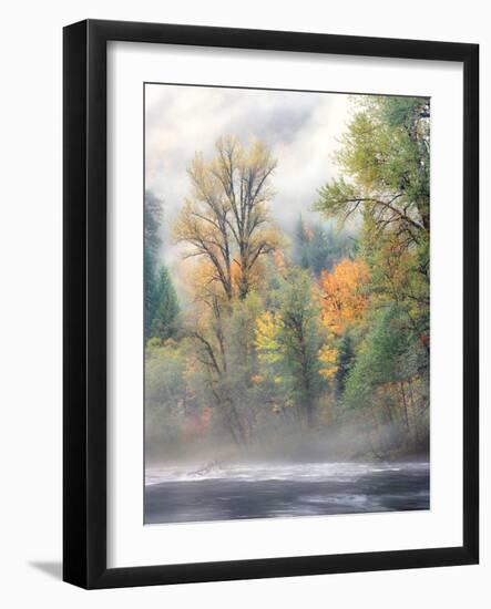 Autumn trees along Mackenzie River, Willamette National Forest, Linn County, Oregon, USA-null-Framed Photographic Print