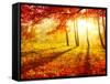 Autumn Trees and Leaves-Subbotina Anna-Framed Stretched Canvas