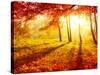 Autumn Trees and Leaves-Subbotina Anna-Stretched Canvas