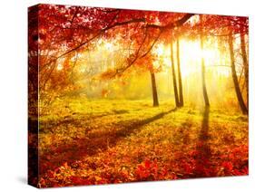 Autumn Trees and Leaves-Subbotina Anna-Stretched Canvas