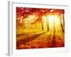 Autumn Trees and Leaves-Subbotina Anna-Framed Photographic Print