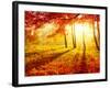 Autumn Trees and Leaves-Subbotina Anna-Framed Photographic Print