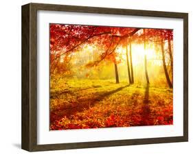 Autumn Trees and Leaves-Subbotina Anna-Framed Photographic Print