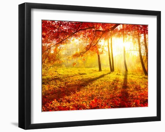 Autumn Trees and Leaves-Subbotina Anna-Framed Photographic Print