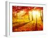 Autumn Trees and Leaves-Subbotina Anna-Framed Photographic Print