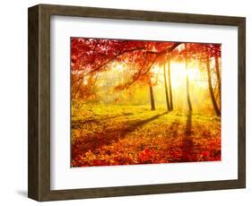 Autumn Trees and Leaves-Subbotina Anna-Framed Photographic Print