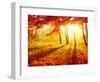 Autumn Trees and Leaves-Subbotina Anna-Framed Photographic Print