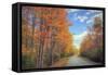 Autumn Trees and Scenic Road Maine-Vincent James-Framed Stretched Canvas