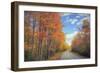 Autumn Trees and Scenic Road Maine-Vincent James-Framed Photographic Print