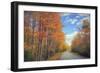 Autumn Trees and Scenic Road Maine-Vincent James-Framed Photographic Print