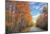 Autumn Trees and Scenic Road Maine-Vincent James-Mounted Photographic Print