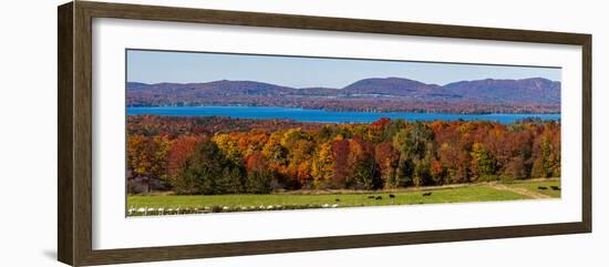 Autumn trees at lakeshore, Brome Lake, West Bolton, Quebec, Canada-null-Framed Photographic Print