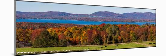 Autumn trees at lakeshore, Brome Lake, West Bolton, Quebec, Canada-null-Mounted Photographic Print