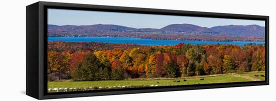 Autumn trees at lakeshore, Brome Lake, West Bolton, Quebec, Canada-null-Framed Stretched Canvas