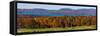 Autumn trees at lakeshore, Brome Lake, West Bolton, Quebec, Canada-null-Framed Stretched Canvas