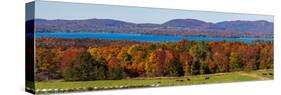 Autumn trees at lakeshore, Brome Lake, West Bolton, Quebec, Canada-null-Stretched Canvas