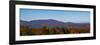 Autumn trees at lakeshore, Brome Lake, West Bolton, Quebec, Canada-null-Framed Premium Photographic Print