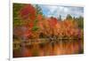 Autumn trees at riverbank, Oswegatchie River, Adirondack Mountains State Park, New York State, USA-null-Framed Photographic Print