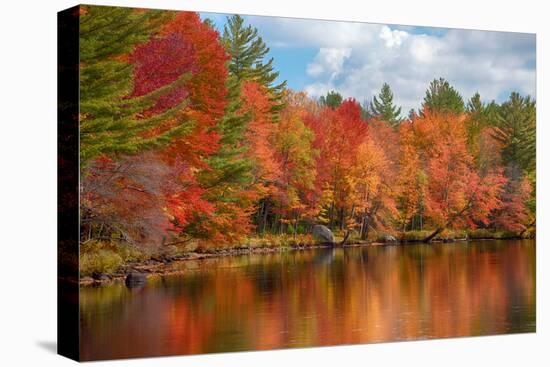 Autumn trees at riverbank, Oswegatchie River, Adirondack Mountains State Park, New York State, USA-null-Stretched Canvas