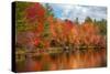 Autumn trees at riverbank, Oswegatchie River, Adirondack Mountains State Park, New York State, USA-null-Stretched Canvas
