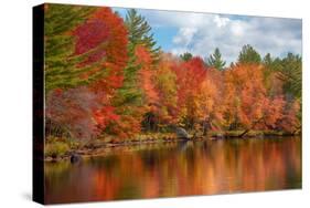 Autumn trees at riverbank, Oswegatchie River, Adirondack Mountains State Park, New York State, USA-null-Stretched Canvas