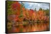 Autumn trees at riverbank, Oswegatchie River, Adirondack Mountains State Park, New York State, USA-null-Framed Stretched Canvas