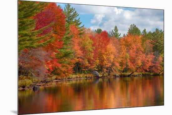 Autumn trees at riverbank, Oswegatchie River, Adirondack Mountains State Park, New York State, USA-null-Mounted Premium Photographic Print