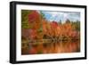 Autumn trees at riverbank, Oswegatchie River, Adirondack Mountains State Park, New York State, USA-null-Framed Photographic Print