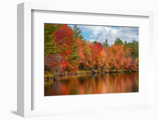 Autumn trees at riverbank, Oswegatchie River, Adirondack Mountains State Park, New York State, USA-null-Framed Photographic Print