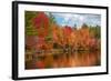 Autumn trees at riverbank, Oswegatchie River, Adirondack Mountains State Park, New York State, USA-null-Framed Photographic Print
