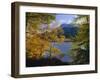 Autumn Trees at Ullswater, Lake District National Park, Cumbria, England, UK, Europe-Roy Rainford-Framed Photographic Print