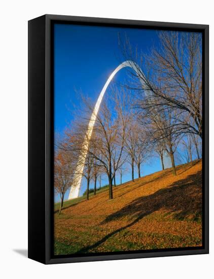 Autumn Trees Below Gateway Arch, Jefferson National Expansion, St. Louis, Missouri, USA-Scott T. Smith-Framed Stretched Canvas