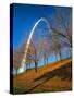 Autumn Trees Below Gateway Arch, Jefferson National Expansion, St. Louis, Missouri, USA-Scott T. Smith-Stretched Canvas