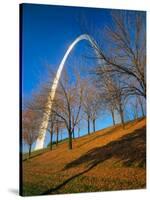 Autumn Trees Below Gateway Arch, Jefferson National Expansion, St. Louis, Missouri, USA-Scott T. Smith-Stretched Canvas
