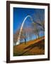 Autumn Trees Below Gateway Arch, Jefferson National Expansion, St. Louis, Missouri, USA-Scott T. Smith-Framed Photographic Print